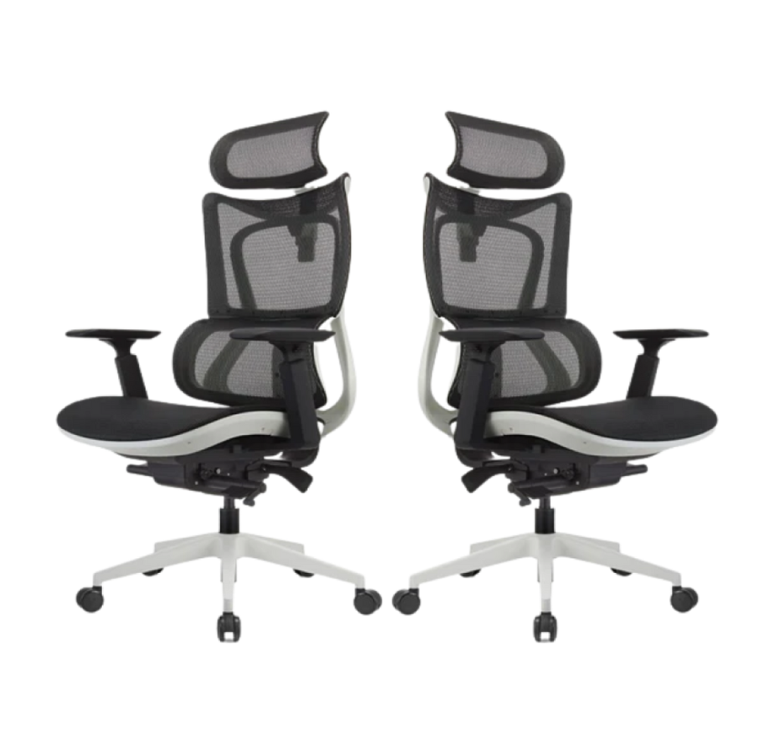 ERGOWORKS Truly Perfect Chair Premium Ergonomic Chair, EWG881